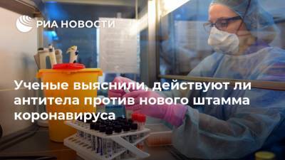 Ученые выяснили, действуют ли антитела против нового штамма коронавируса - ria.ru - Москва - Юар