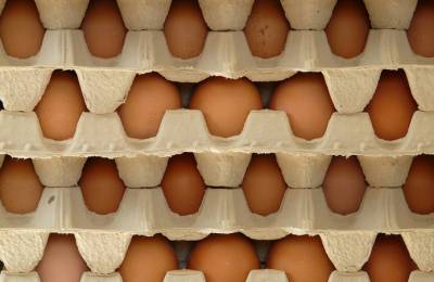 Великобритания обнародовала условия беспошлинной квоты на яйца из Украины - agroportal.ua - Англия - Великобритания