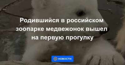 Родившийся в российском зоопарке медвежонок вышел на первую прогулку - news.mail.ru - Ростов-На-Дону - Чехия - Чукотка