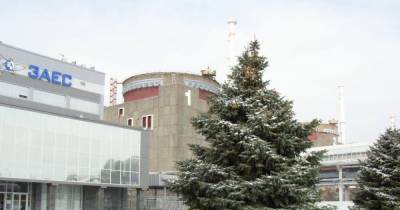 На территории Запорожской АЭС застрелилась военная - tsn.ua - Запорожская обл. - Житомир