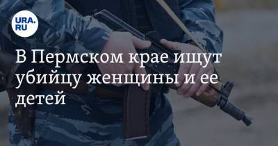 В Пермском крае ищут убийцу женщины и ее детей - ura.news - Пермский край