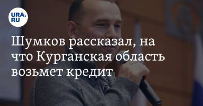 Вадим Шумков - Шумков рассказал, на что Курганская область возьмет кредит - ura.news - Курганская обл.