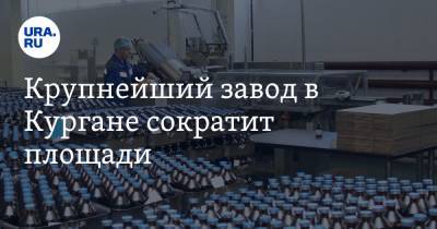 Вадим Шумков - Денис Мантуров - Крупнейший завод в Кургане сократит площади. Шумков раскрыл подробности визита Мантурова - ura.news - Курганская обл.