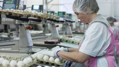 Продуктовое равновесие: российские производители договорились о сдерживании цен на мясо птицы и яйца - russian.rt.com