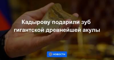 Кадырову подарили зуб гигантской древнейшей акулы - news.mail.ru - респ. Чечня