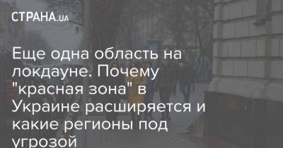 Еще одна область на локдауне. Почему "красная зона" в Украине расширяется и какие регионы под угрозой - strana.ua - Житомирская обл.