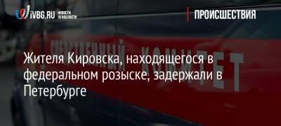 Жителя Кировска, находящегося в федеральном розыске, задержали в Петербурге - ivbg.ru - Москва - Ленинградская обл. - Санкт-Петербург - Кировск - окр.Сзфо - Петербург