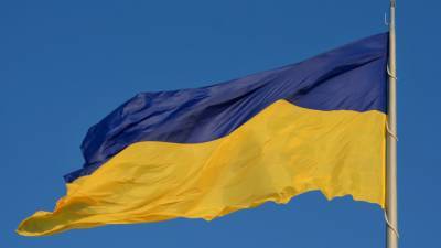 Сергей Марков - Политолог Марков: В 2014 году на Украине не было цветной революции - riafan.ru