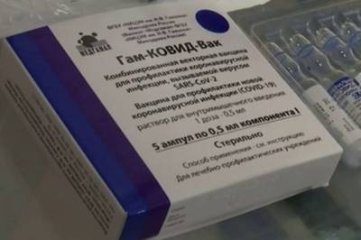 Владимир Путин - Себастьян Курец - Курц рассказал о переговорах с РФ о возможном производстве «Спутника V» - aif.ru - Австрия