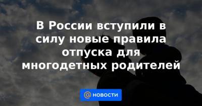 Вячеслав Володин - В России вступили в силу новые правила отпуска для многодетных родителей - news.mail.ru