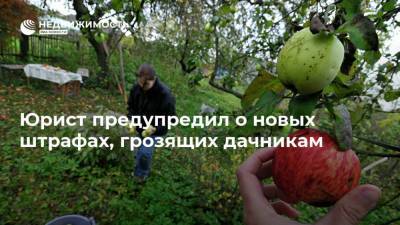 Алексей Петропольский - Юрист предупредил о новых штрафах, грозящих дачникам - realty.ria.ru - Москва