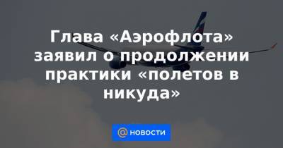 Глава «Аэрофлота» заявил о продолжении практики «полетов в никуда» - news.mail.ru - Москва