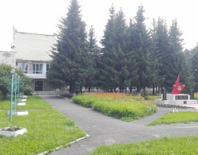 Бюджетники проголосовали за вырубку посаженных ветеранами деревьев под Кемеровом - news.vse42.ru - Кемерово