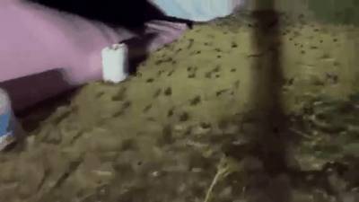 "Ночью земля просто движется!" Штат в Австралии "захватили" полчища мышей — видео - reendex.ru - Австралия