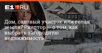Артем Устюжанин - Дом, садовый участок или голая земля? Риелтор — о том, как выбрать загородную недвижимость - e1.ru - Екатеринбург