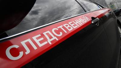 Юрий Трутнев - В отношении главы поселка в ЕАО возбудили дело о превышении полномочий - iz.ru - Еврейская обл.