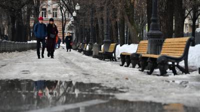 Роман Вильфанд - Петр Бирюков - В Гидрометцентре рассказали, когда в Москве растает снег - m24.ru - Москва