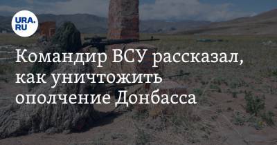 Командир ВСУ рассказал, как уничтожить ополчение Донбасса - ura.news - Киев - ДНР - ЛНР