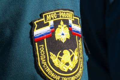 При пожаре в поселке Ревякино сгорел жилой дом - tula.mk.ru - Тула - Тульская обл. - район Ясногорский
