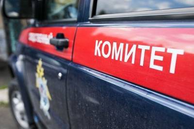 Руководитель горхозяйства задержан по делу о гибели детей при пожаре - aif.ru - Красноярск - Лесосибирск