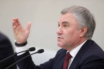 Алексей Навальный - Вячеслав Володин - Ксения Собчак - Володин раскрыл истинную цель «Умного голосования» - lenta.ru