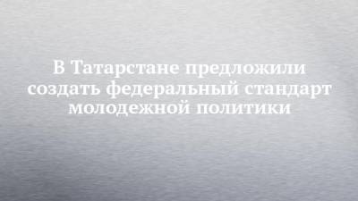 Дамир Фаттахов - В Татарстане предложили создать федеральный стандарт молодежной политики - chelny-izvest.ru - респ. Татарстан - Казань