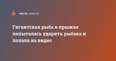 Гигантская рыба в прыжке попыталась ударить рыбака и попала на видео - ren.tv - США - USA - шт.Флорида