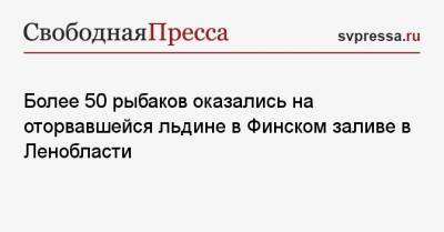 Более 50 рыбаков оказались на оторвавшейся льдине в Финском заливе в Ленобласти - svpressa.ru - Ленинградская обл. - Московская обл. - Приморье край