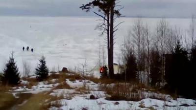 Рыбаков со льдины в Финском заливе удалось вытащить - piter.tv - Ленинградская обл.