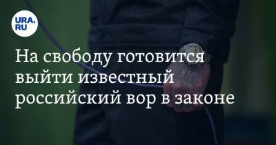 На свободу готовится выйти известный российский вор в законе - ura.news - Московская обл. - респ. Татарстан - Казань