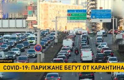 Антиковидные протесты нарастают в Европе: в Нидерландах на протестующих спустили собак - ont.by - Голландия