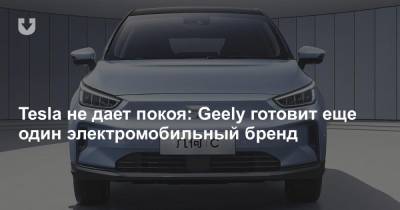 Tesla не дает покоя: Geely готовит еще один электромобильный бренд - news.tut.by