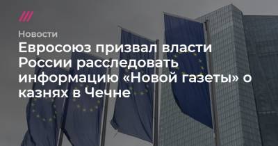 Евросоюз призвал власти России расследовать информацию «Новой газеты» о казнях в Чечне - tvrain.ru - респ. Чечня