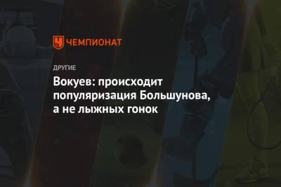 Александр Большунов - Ермил Вокуев - Вокуев: происходит популяризация Большунова, а не лыжных гонок - championat.com