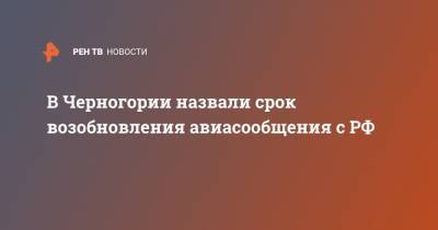 В Черногории назвали срок возобновления авиасообщения с РФ - ren.tv - Черногория