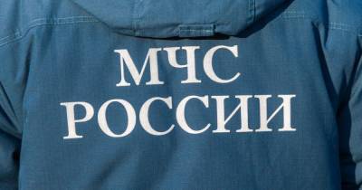 Один человек пострадал при пожаре в жилом доме на юго-западе Москвы - ren.tv - Москва - Саратов