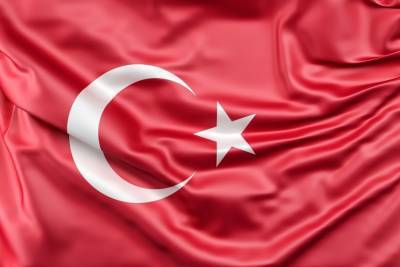 Жозеп Боррель - ЕС попросил Турцию пересмотреть решение о выходе из конвенции по защите женщин - mk.ru - Турция - Стамбул