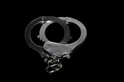 В Смоленске поймали вора, укравшего телефон и деньги у собутыльника - mk-smolensk.ru - Смоленск