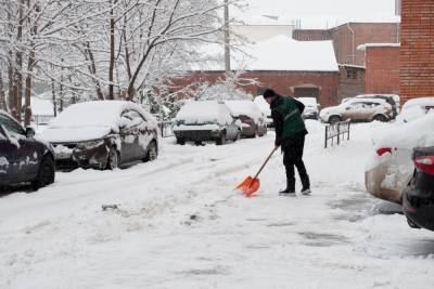 В Тульской области 21 марта ударил мороз – 9 °С - tula.mk.ru - Тула - Тульская обл.
