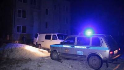 Владислава Грин - ДТП с участием 13 машин и скорой попало на видео в Подмосковье - nation-news.ru - Московская обл.