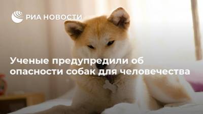 Ученые предупредили об опасности собак для человечества - ria.ru - Москва - Лос-Анджелес