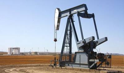 В Башкирии сократились объемы добычи нефти и газа на 64,4% по сравнению с 2020 годом - mkset.ru - Башкирия