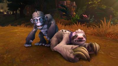Бесплатные питомцы в World of Warcraft: компания Blizzard запустила благотворительную акцию - 24tv.ua