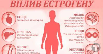 Что нужно есть женщинам, чтобы надолго сохранить красоту и молодость - vchaspik.ua