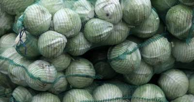В Украине цены на белокочанную капусту пошли вверх: сколько стоит овощ с борщевого набора - tsn.ua