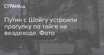 Сергей Шойгу - Владимир Путин - Дмитрий Песков - Путин с Шойгу устроили прогулку по тайге на вездеходе. Фото - strana.ua - Россия - округ Сибирский