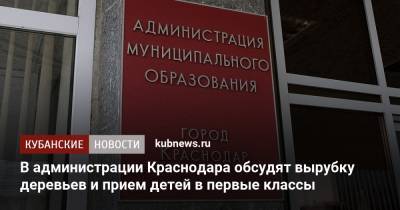Евгений Первышов - В администрации Краснодара обсудят вырубку деревьев и прием детей в первые классы - kubnews.ru - Краснодарский край - Краснодар