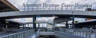 Гендиректора «Петростроя» задержали в аэропорту Пулково - runews24.ru - Санкт-Петербург