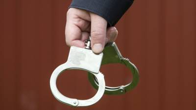 Полиция задержала гендиректора компании "Петрострой" - polit.info - Санкт-Петербург