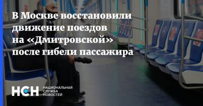 В Москве восстановили движение поездов на «Дмитровской» после гибели пассажира - nsn.fm - Москва